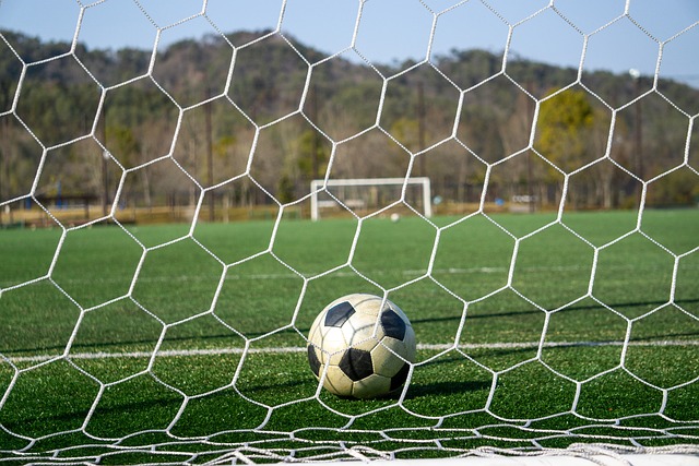 图把握议
